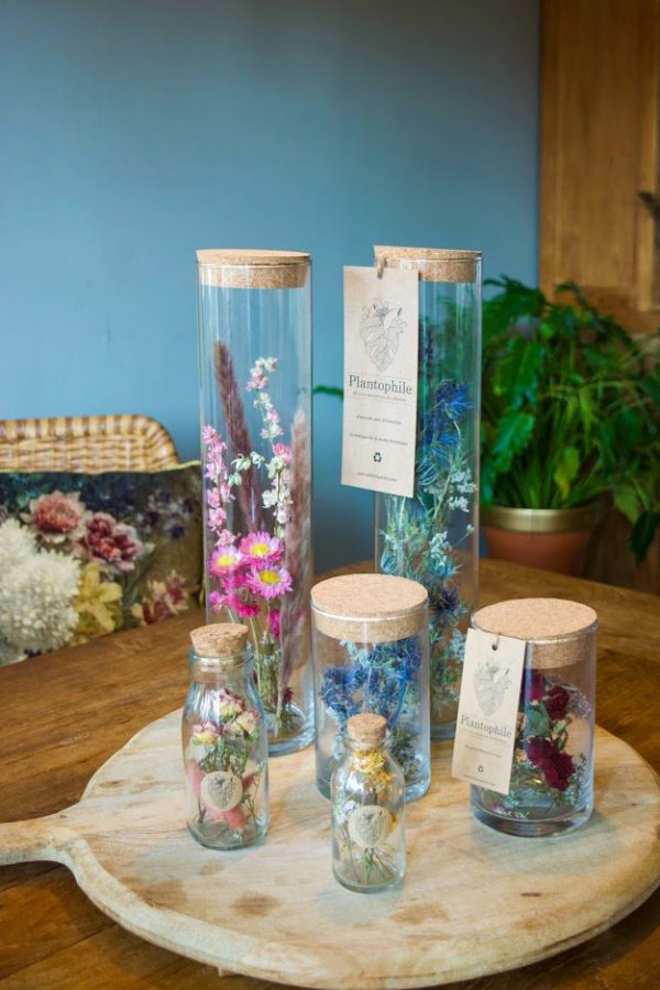 Droogbloemen in glas Femlie Cadeaushop